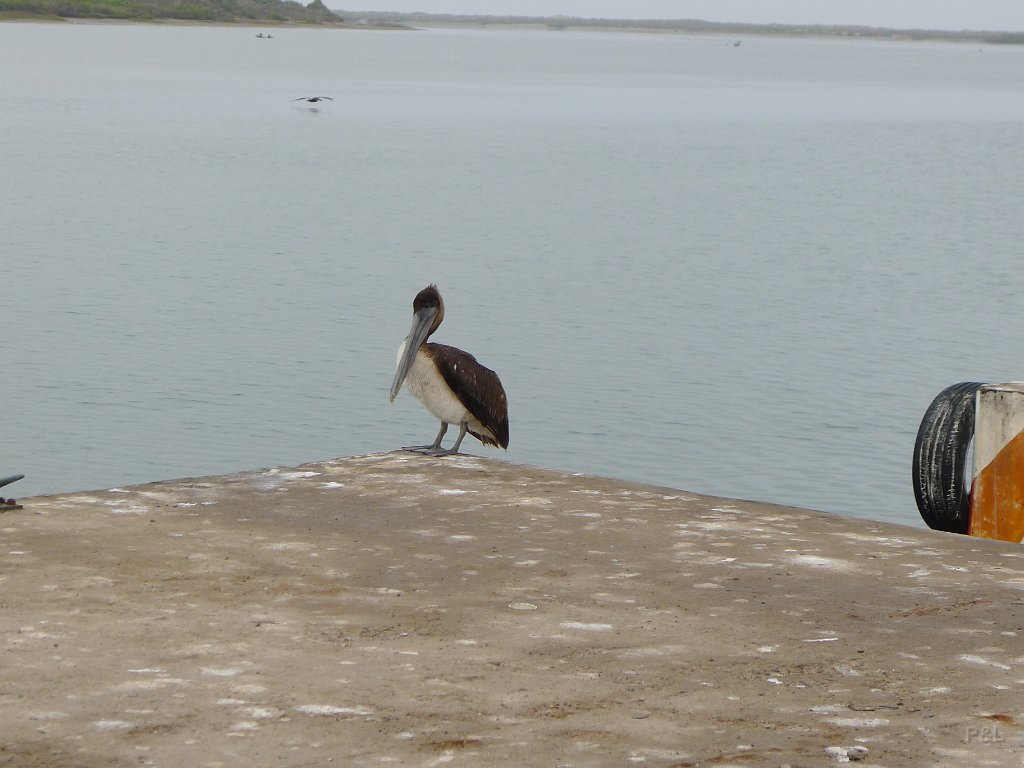 P1150227