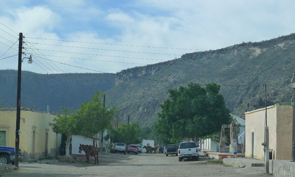 P1150247