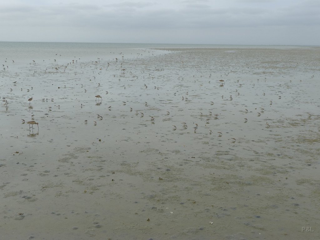 P1150406
