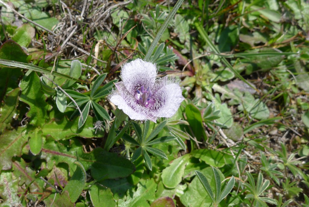 P1150590