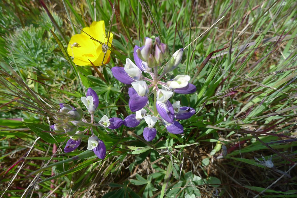 P1150799
