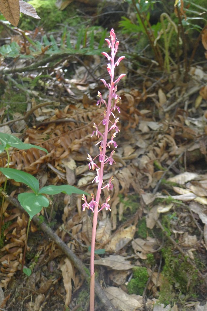 P1150815