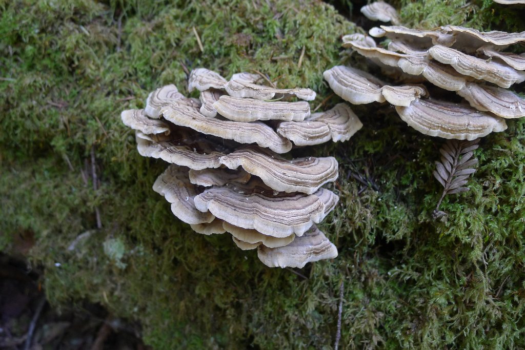 P1150818