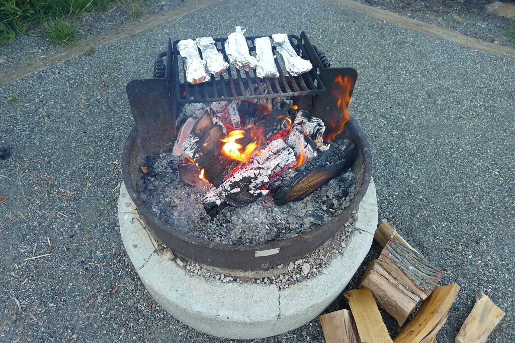 251