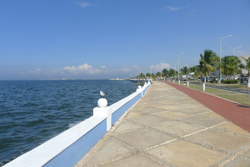 P1200588