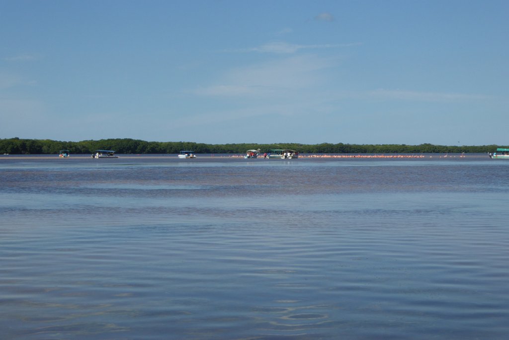 P1010332