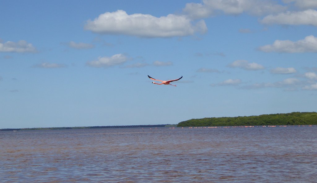 P1010387