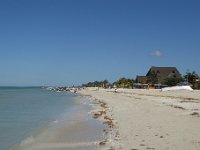 P1010310.JPG