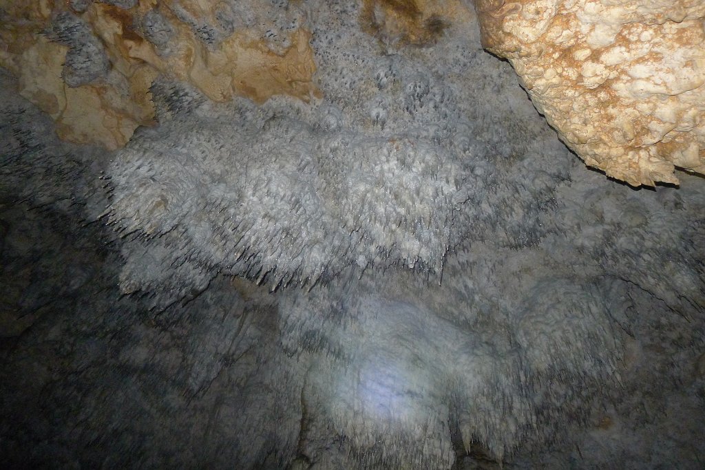 P1200639
