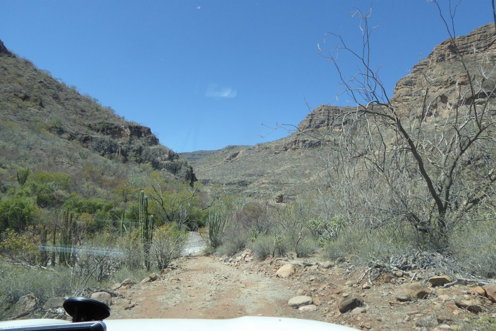 P1020055