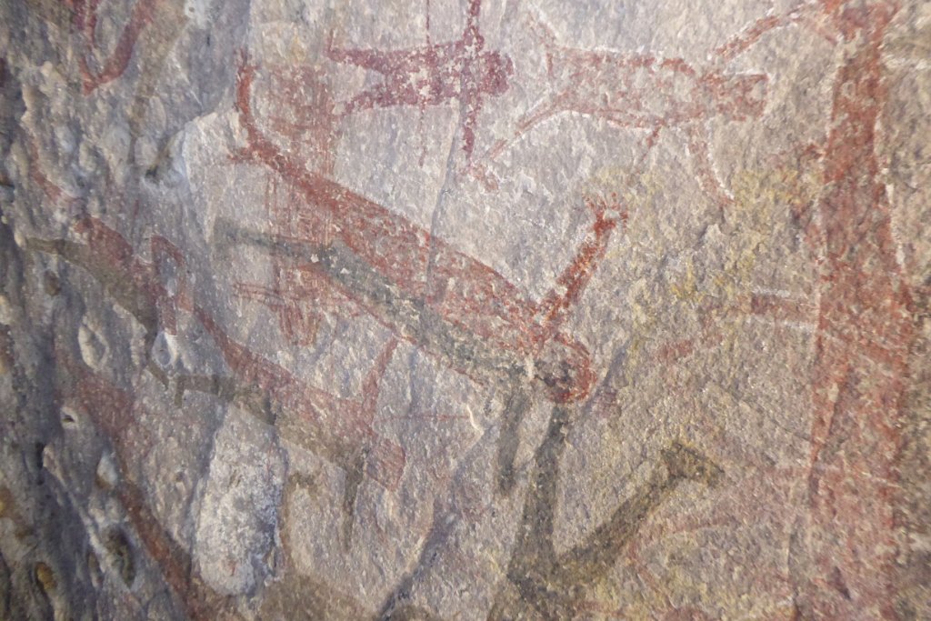 P1020072