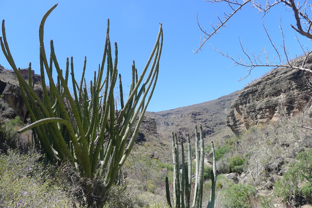 P1220179