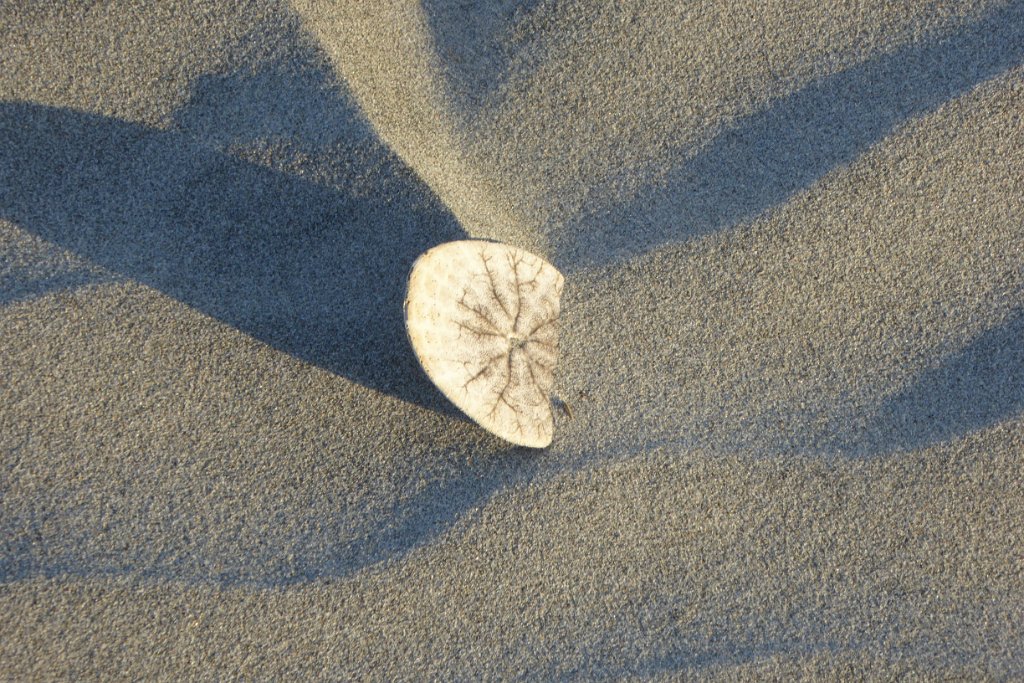 P1010963