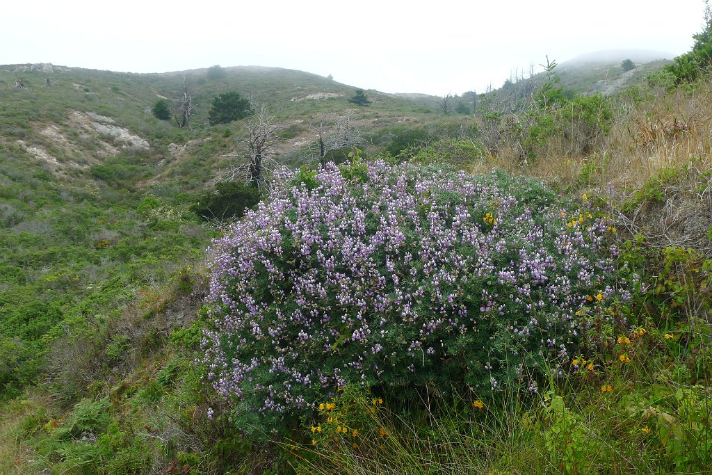 P1220330
