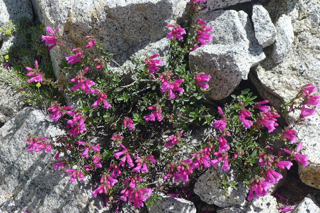 P1220515