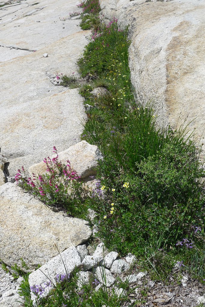 P1220520