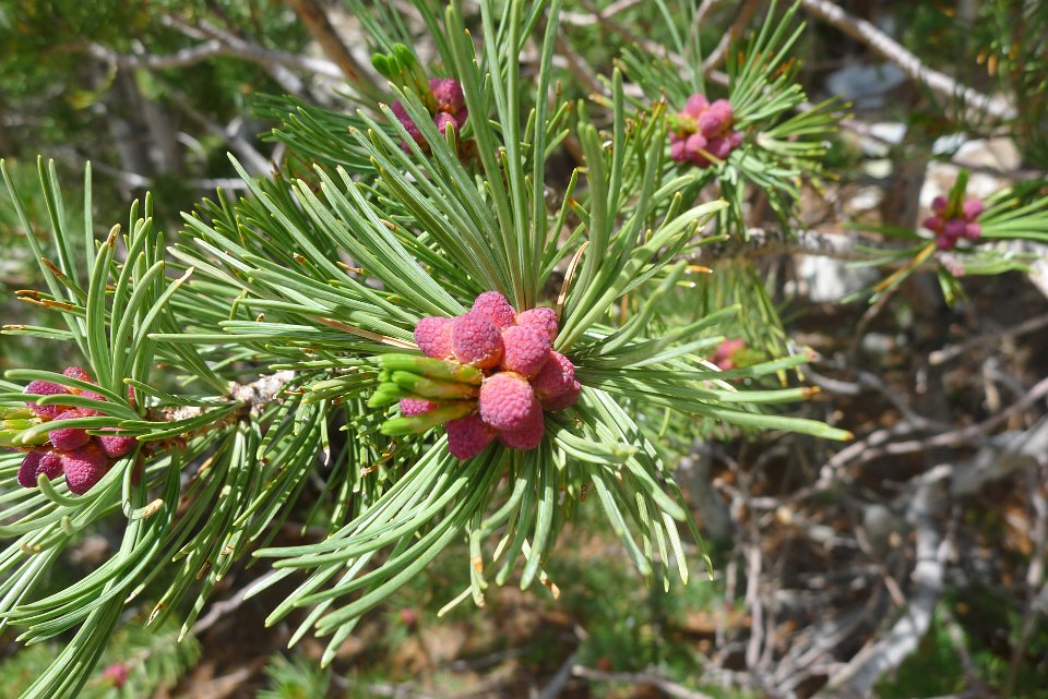P1220611