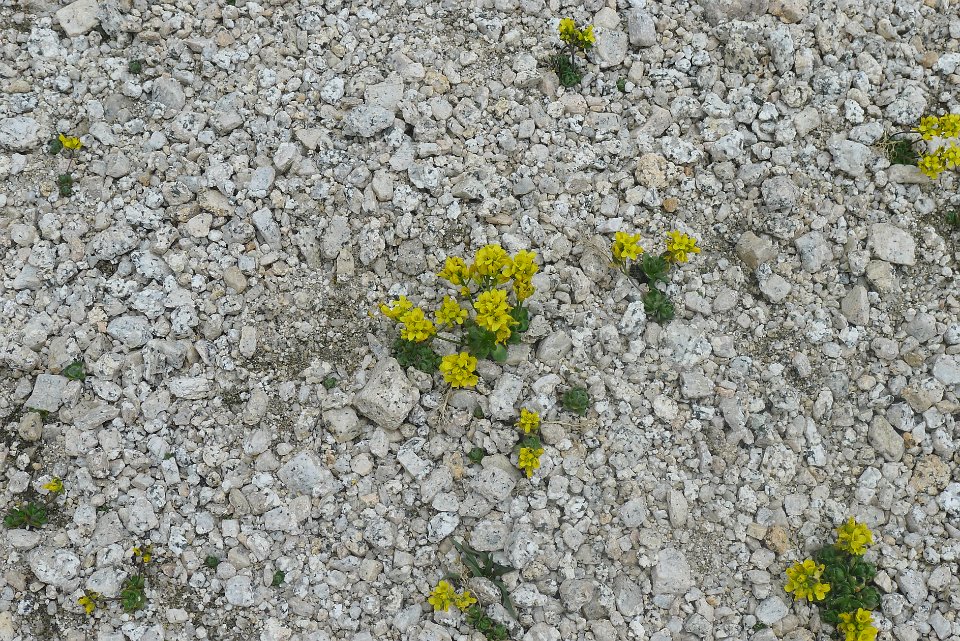 P1220630