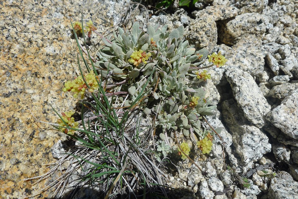 P1220728