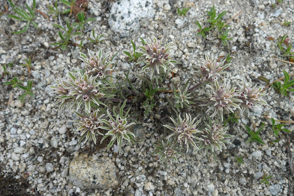 P1220790
