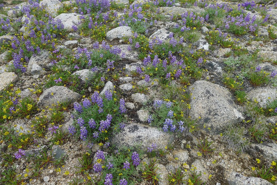 P1220805