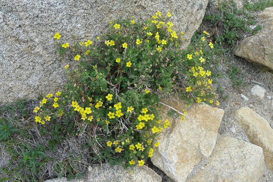 P1220884