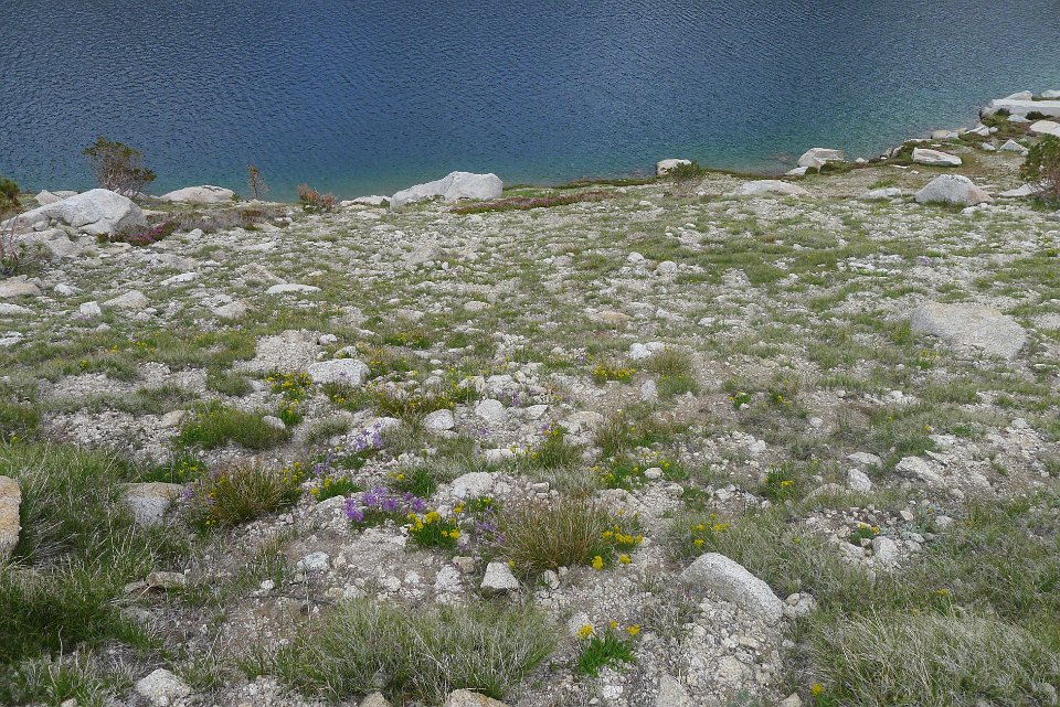 P1220652
