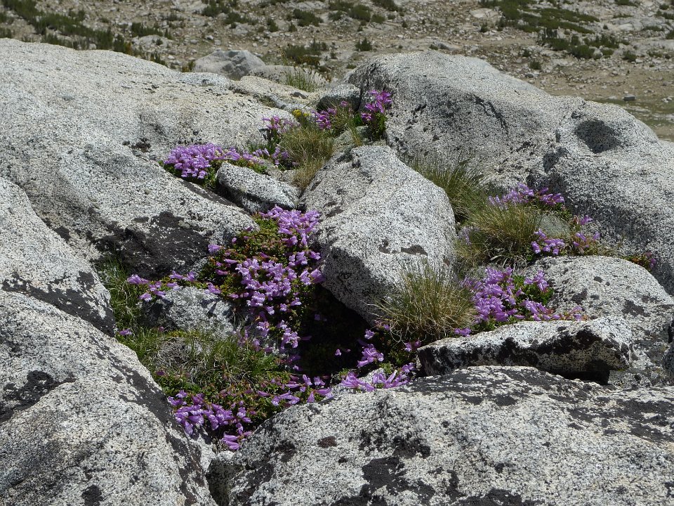 P1110508