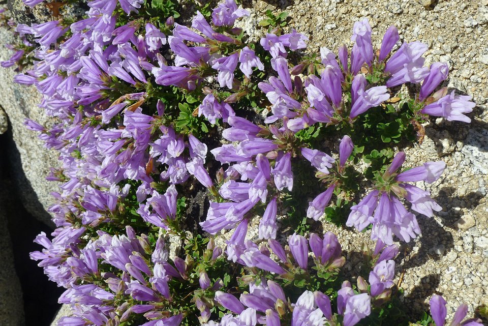 P1220734