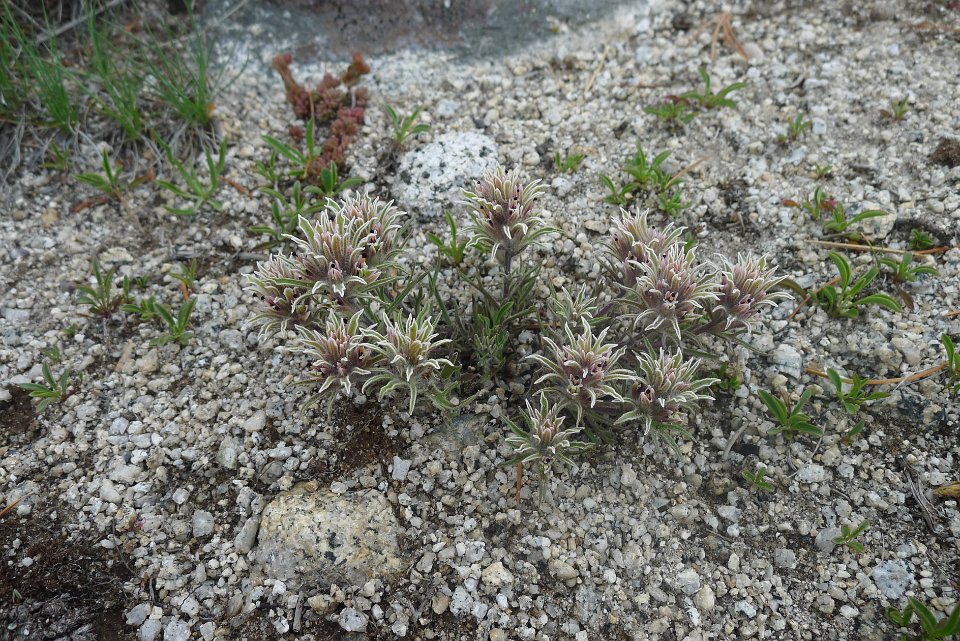 P1220791