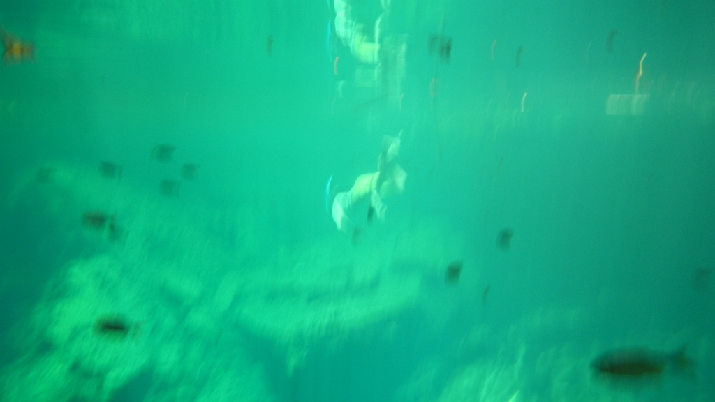 DSCN4713