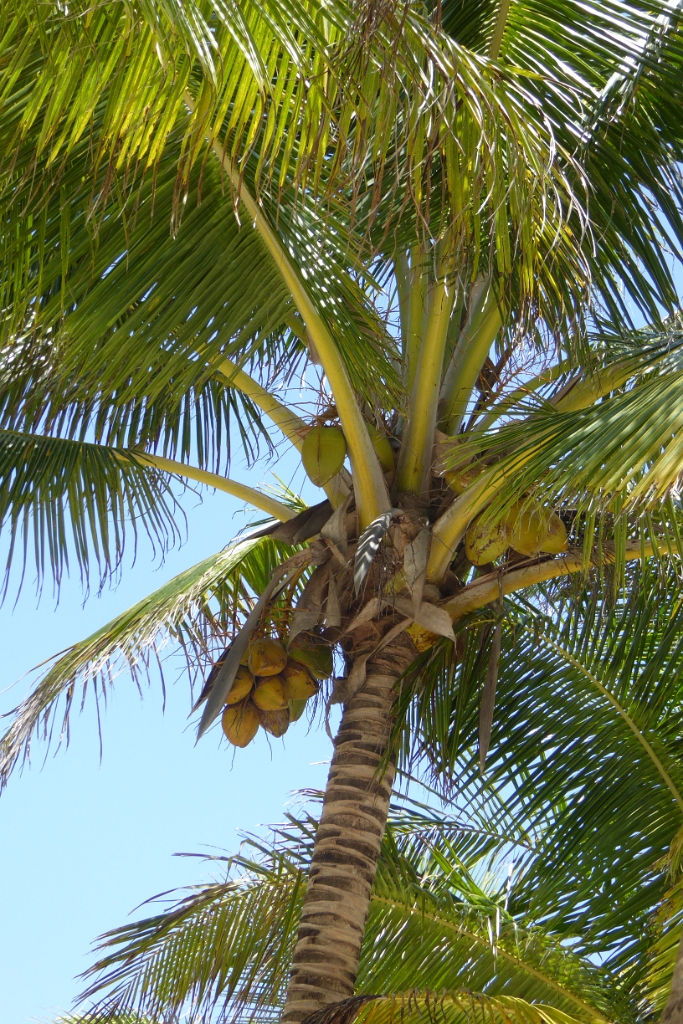 P1020548