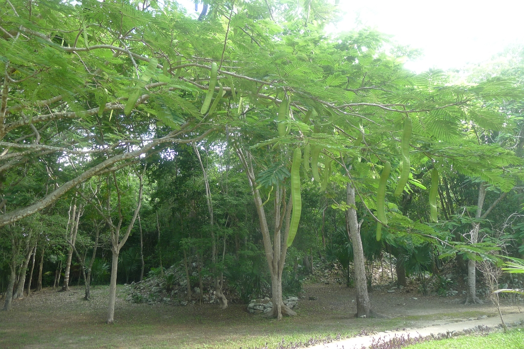 P1230982