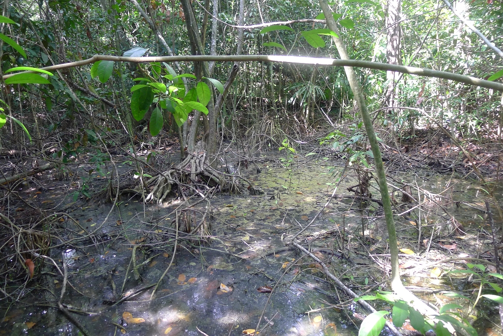 P1240001