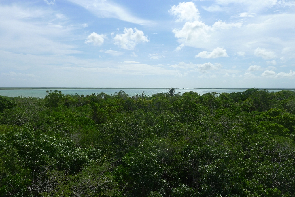 P1240010