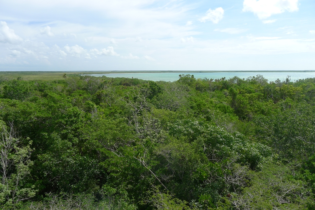 P1240017