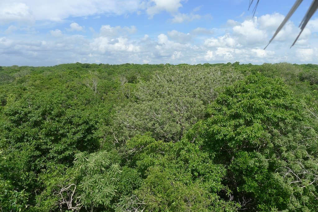 P1240019