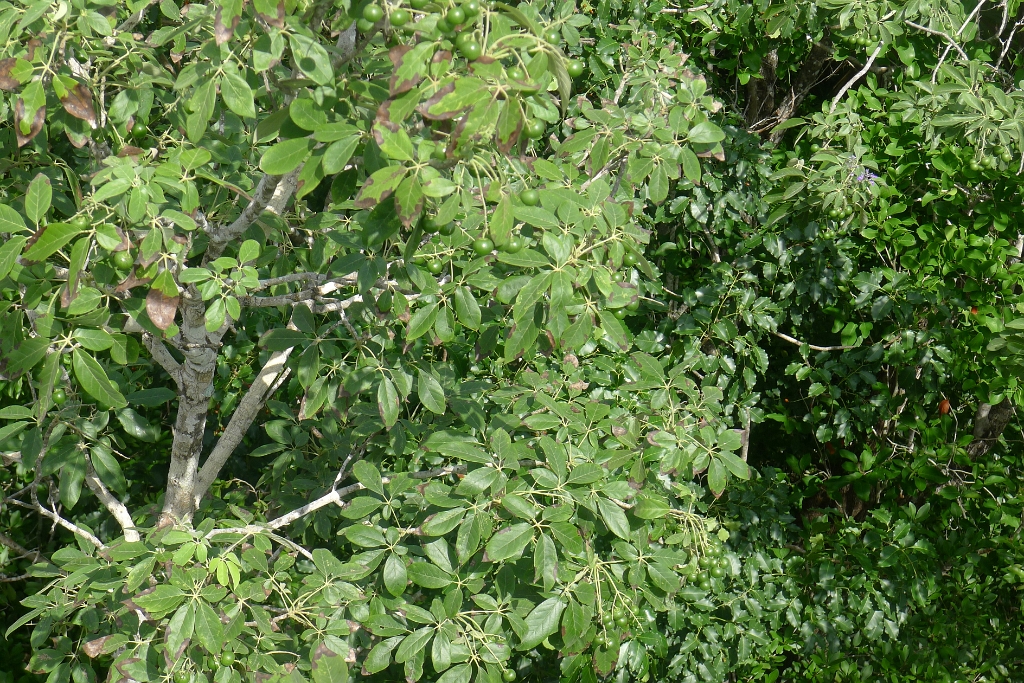 P1240021