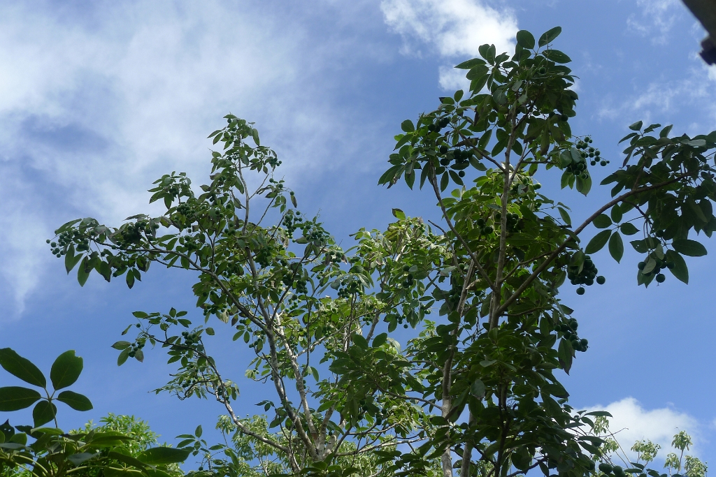 P1240022