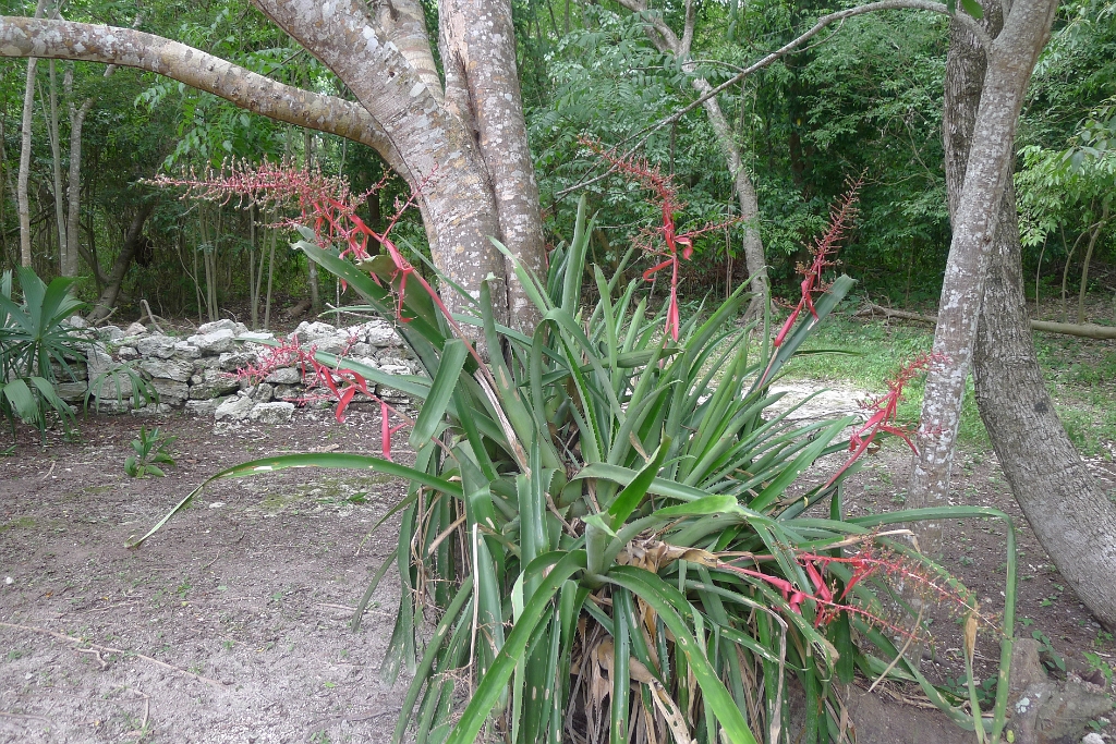 P1240035