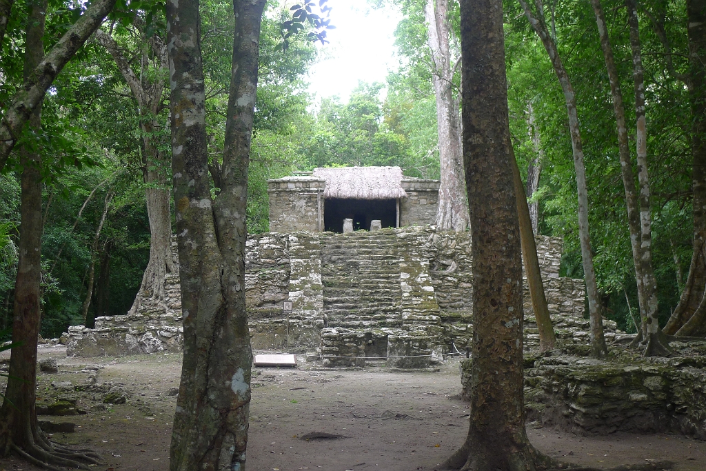 P1240040