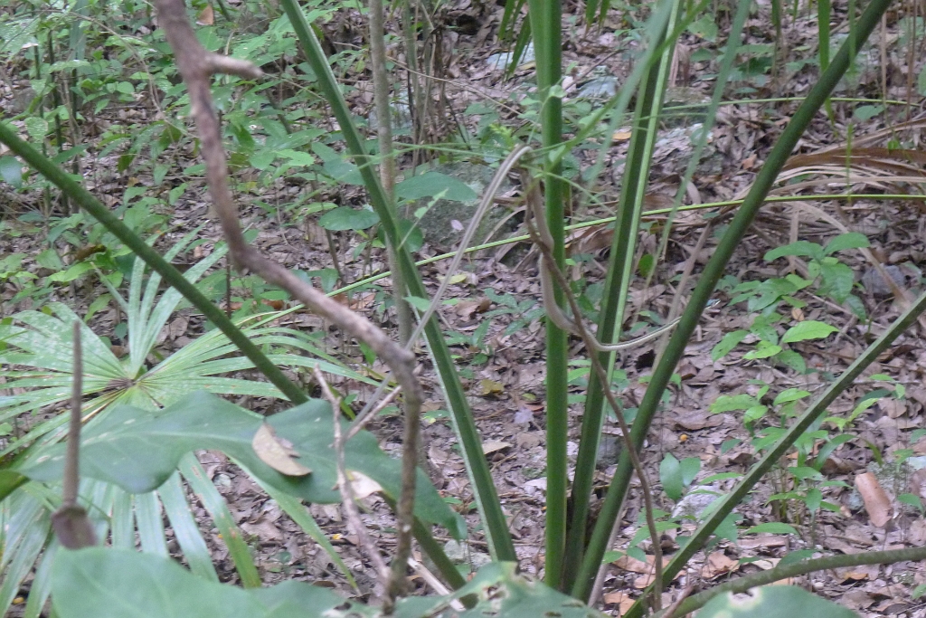 P1240044