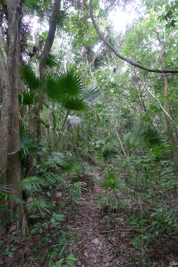 P1240046