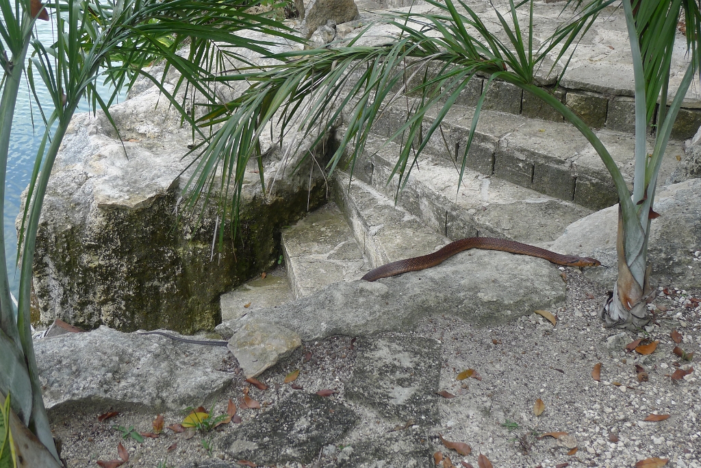P1240064