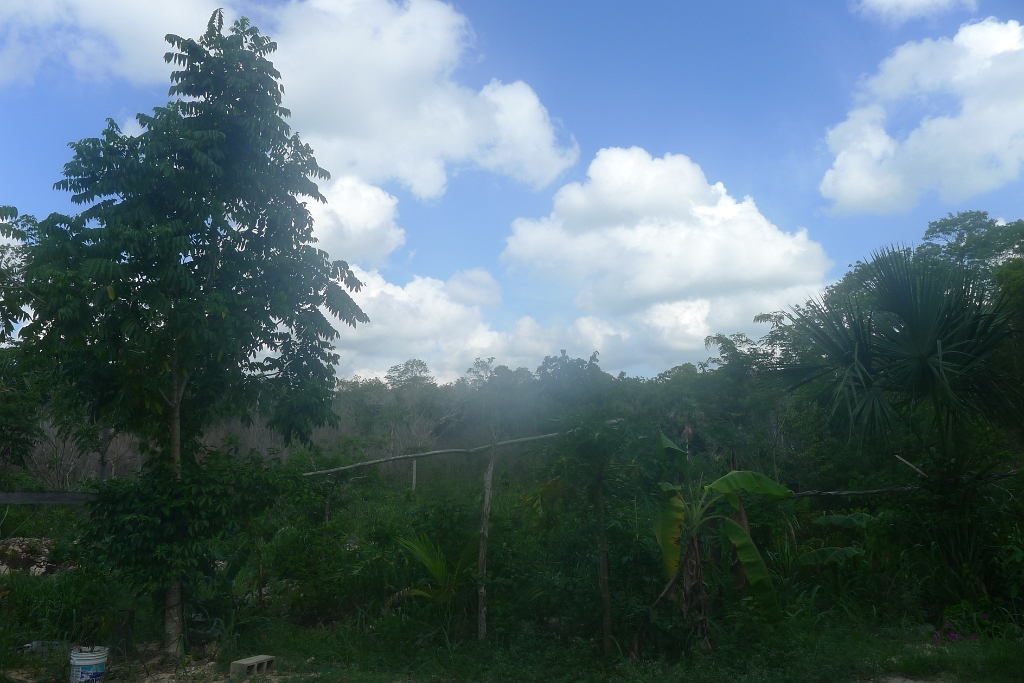 P1240080