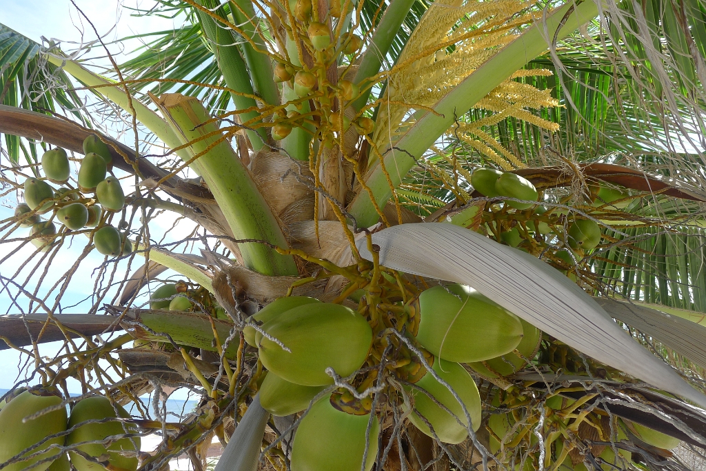 P1240103