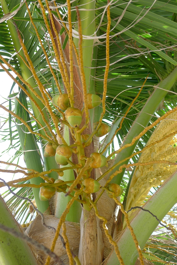 P1240107