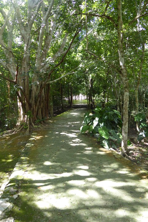 P1030039