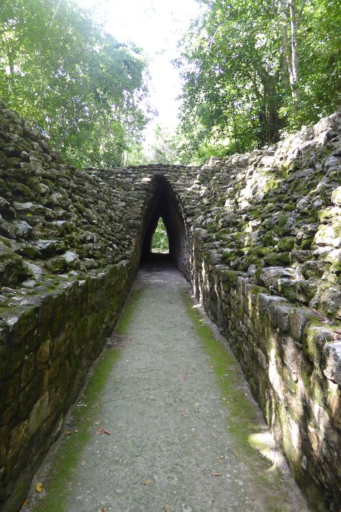 P1030048