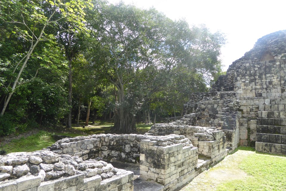 P1030066